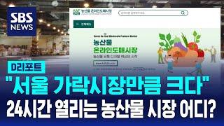 "서울 가락시장만큼 큰"…온라인 농산물 도매시장 출범 / SBS / #D리포트