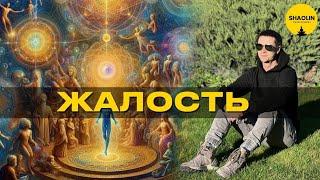 Жалость