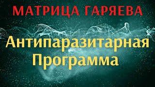 Матрица П.П. Гаряева - "Антипаразитарная Программа" наложенная на пение птиц