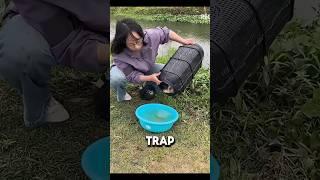 Amazing fishing trap Gadget Items, versatile & utensils #shorts