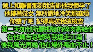 遞上和離書那刻我告訴他我懷孕了，他摟著妓女 無所謂地冷笑那麻煩你墮了吧 記得再送我這檢查，第二天如他所願把裝的碎肉寄給他，在他痛苦哀號時 我遠走江南！後我風光再婚 他在場外嘔血不止！