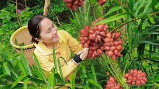 Harvest Salak (Salacca zalacca) goes to the market sell | Emma Daily Life