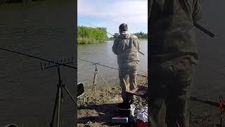ПОКЛЕВКА  ЛЕЩА на ФИДЕР #shorts #short #shortvideo ##ловлялеща #Рыбалка