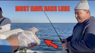 MUST HAVE STRIPED BASS LURE + BLACKFISH