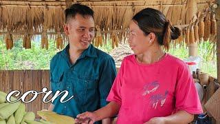 Daily life in a rural Vietnamese countryside: Harvesting and processing corn from the farm