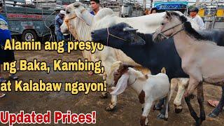 November 15, 2024 - Presyo ng Baka, Kambing, Kalabaw at Kabayo | Livestock Farming