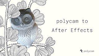 Polycam to After Effects Tutorial