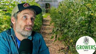 Can Organic Agriculture Feed the World + What’s Up with Grafting Tomatoes