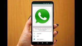 How to Fix WhatsApp is Not Responding (Unfortunately WhatsApp has stopped working)