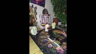 #tarot 