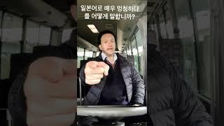 일본어로 매우 멍청하다를 어떻게 말합니까?