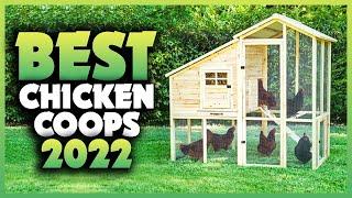 Top 5 Best Chicken Coops You can Buy Right Now [2023]