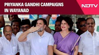 Priyanka Gandhi | Priyanka Gandhi Campaigns In Wayanad, BJP Says Rahul Gandhi Betrayed Voters