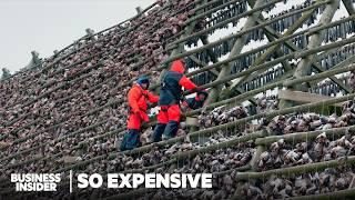 Why Stockfish Is So Expensive | So Expensive Food | Business Insider