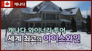 [나이아가라3편] 세계 최고의 캐나다 아이스와인 완전 파헤치기 | 캐나다 와이너리에서 와인의 세계 경험하기 | 캐나다 와이너리 투어