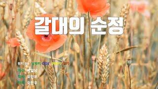 [은성반주기] 갈대의순정 - 박일남 /MR/가사