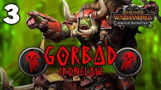 WAR OF TOTAL DESTRUCTION?! Total War: Warhammer 3 - Gorbad Ironclaw Campaign Omens of Destruction #3