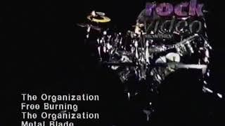 THE ORGANIZATION - Free Burning