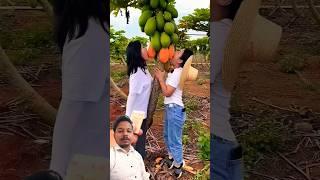 Amezing Beautiful nature #fruitcutting #satisfying #farming #prajapati #tech #fruit #flowers #farm