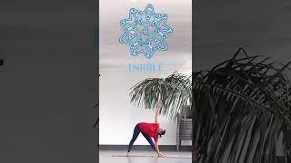 Triangle Pose (Trikonasana)  #yoga  #shorts