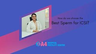 How do we choose best Sperms| A4 Fertility Centre | Chennai