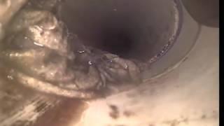 5105 Teddington Park Dr Leak Locate