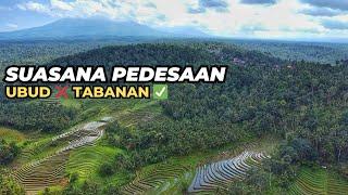 Satmori kangen blusukan di Suasana Pedesaan dan Panorama Persawahan di Pulau Bali