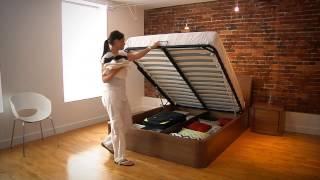 CondoLift™ storage bed Mechanism