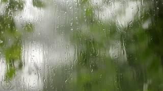  Sleep Video with Thunder, Wind & Rain Hitting Your Window, this video can make you very sleepy!