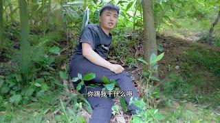 徐三娃干了啥事，被媳妇踹了一脚，真是闹了个乌龙