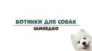 БОТИНКИ НА ПОДОШВЕ для собак, противоскользящая обувь для собак на липучках