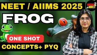 FROG | Structural Organisation in Animals|| NEET/ AIIMS 2025