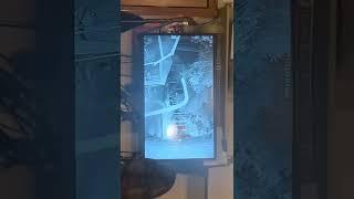 WTH! Caught on home surveillance