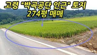 [물건번호-118]전속중개물권-고령성산 무계리농지#매매#274평#1억3500만원#농지경영채필요#오부TV-오소장 010-4584-2100