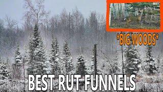 Top 3 BIG WOODS Rut Funnels