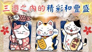 塔羅占三週之內的精彩跟豐盛🪄『新月份新能量』『值得期待的精彩』