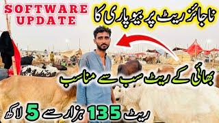 Northern Bypass Mandi Software Update | Rates & Bargaining | Bakra Eid Season 2025 | Cow Mandi 2025
