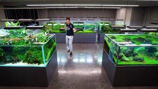 ADA Nature Aquarium Gallery Full Tour