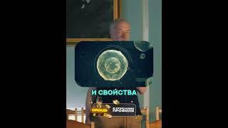 Семихатов про Квантовую механику | ScienceVideoLab