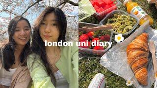 last week of uni vlog  spring in london, picnic, going back to home