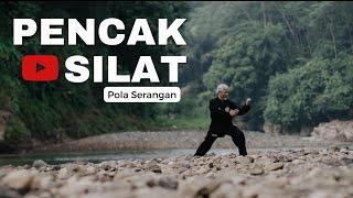 Basic Silat Techniques