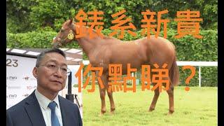 【金鎗馬王⭐的新厩侶】錶系新貴BB掂唔掂? 齊齊玩相馬