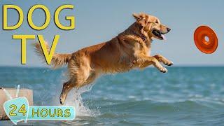 DOG TV: Entertainment Video Fun for Bored Dogs When Home Alone - Best Relaxing Music for Dogs