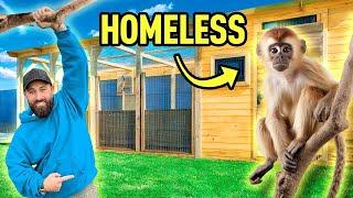 HOW TO BUILD AN ANIMAL ENCLOSURE - STEP BY STEP DIY BUILD