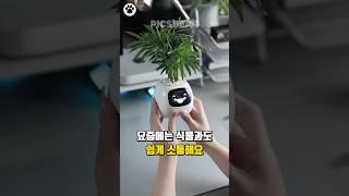 스마트한 식집사를 위한 감성 힐링 추천템