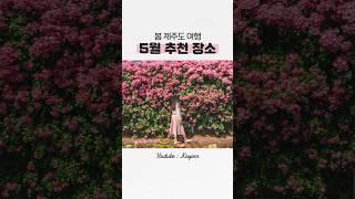  5월 제주도 여행 가볼 만한 곳 추천! 꼭 가보세요