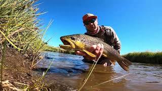 EDZ Dry Flies Only // Fly Fishing Patagonia