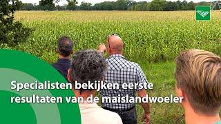 Specialisten bekijken eerste resultaten maislandwoeler