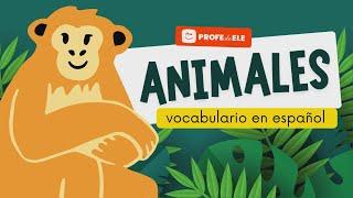  Vocabulario de los animales en español | ProfedeELE.es