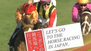 Introduction of Horse Racing in Japan (Japan Racing Association)